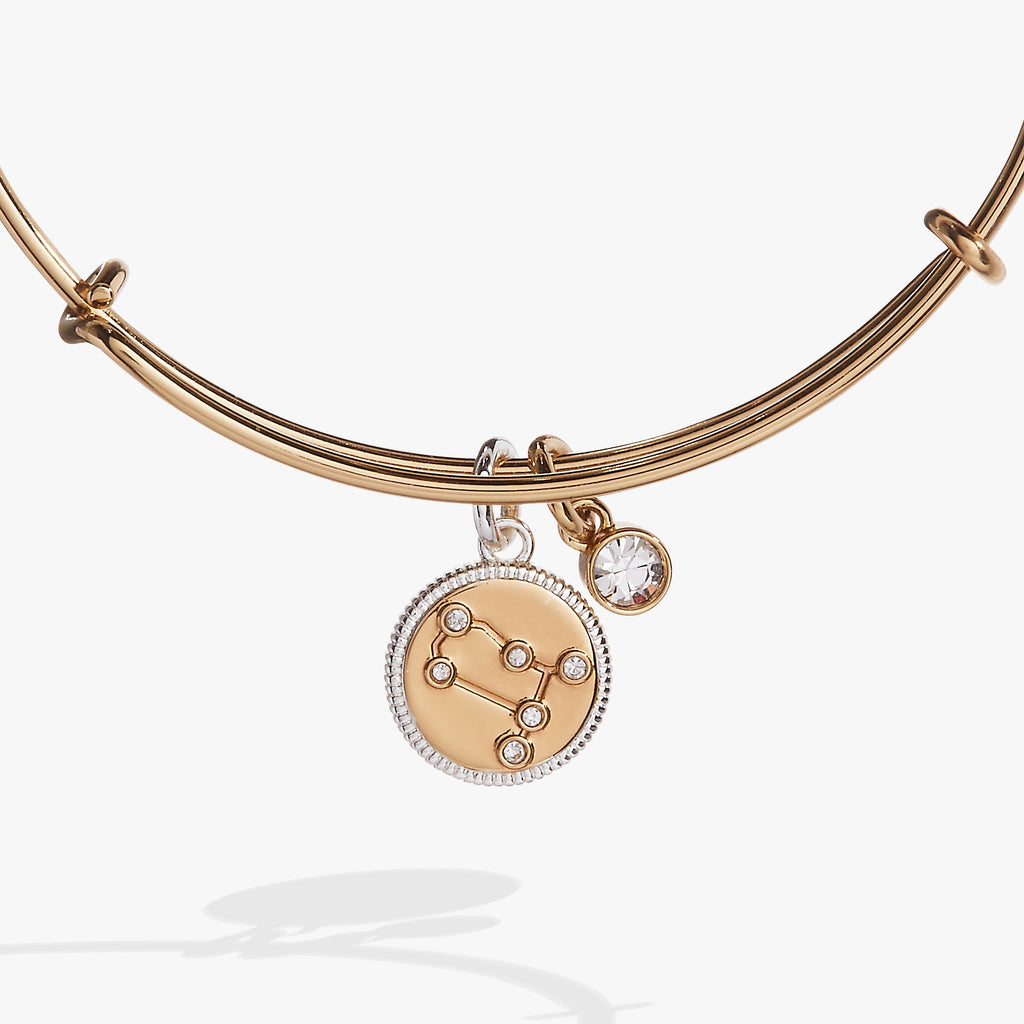 Gemini Zodiac Constellation Charm Bangle in Two-Tone Finish