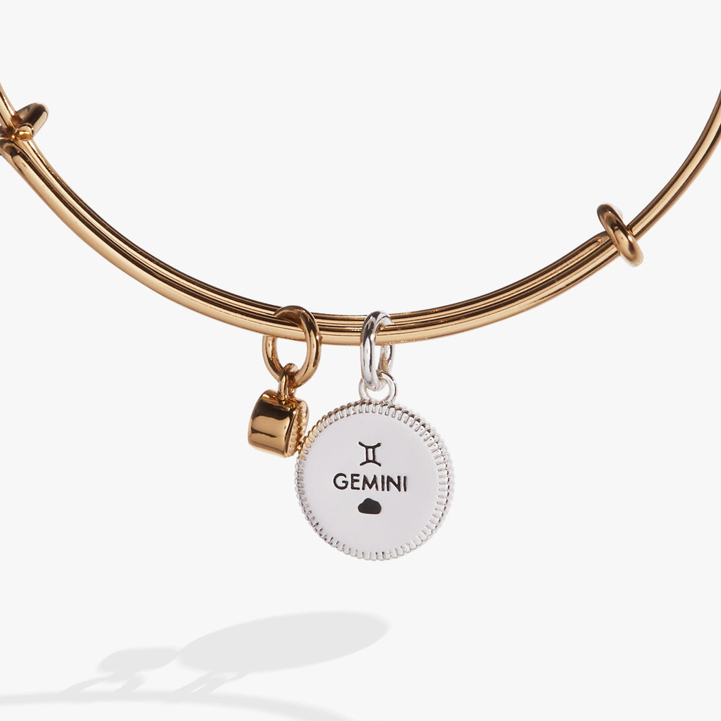 Gemini Zodiac Constellation Charm Bangle in Two-Tone Finish