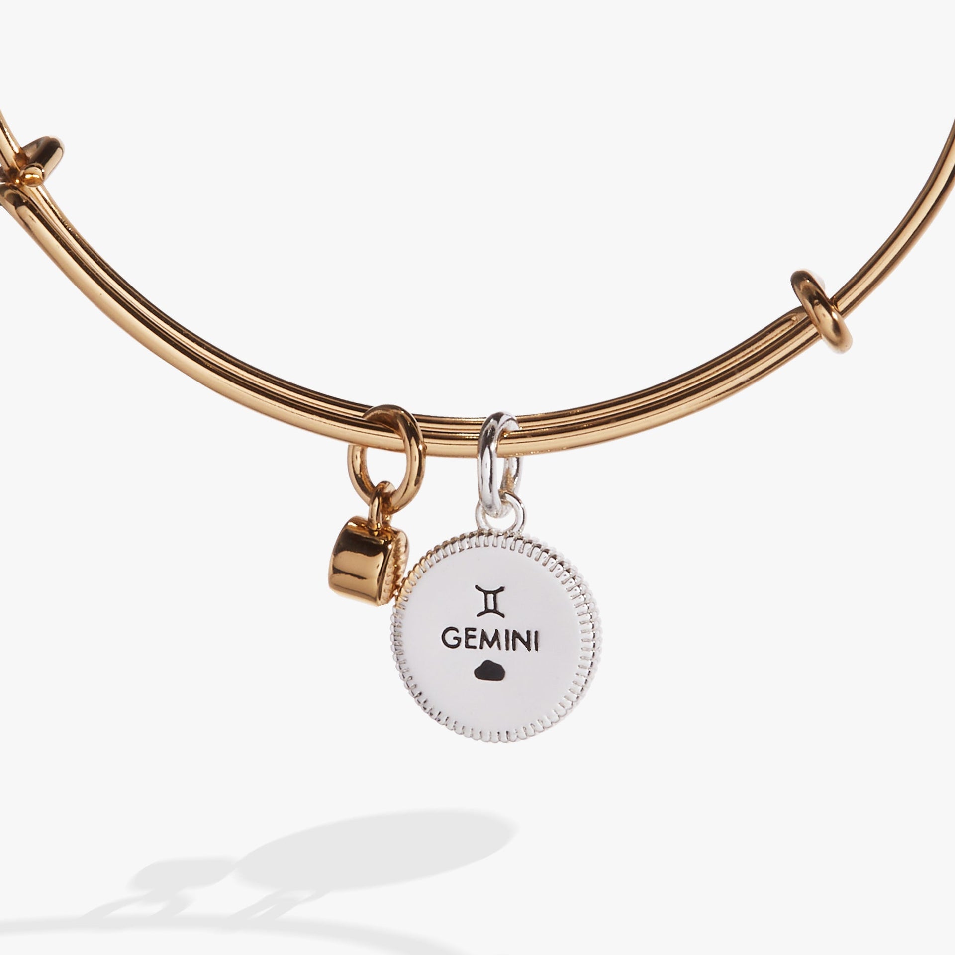 Gemini Zodiac Constellation Charm Bangle in Two-Tone Finish