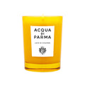 Luce Di Colonia Citrus Scented Candle in Vibrant Yellow Glass 200g