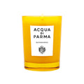 Acqua di Parma Buongiorno 200g scented candle featuring aromatic green notes of grass and moss.