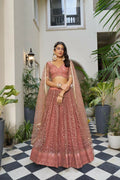 Rust Butterfly Net Lehenga Choli with detailed cotton thread work and sequence embroidery.