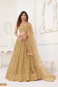 Chiku butterfly net lehenga with tone-to-tone thread work and original mirror embroidery