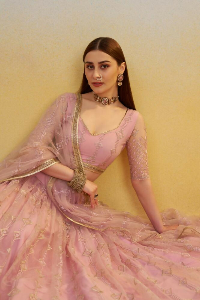 Pink Butterfly Net Lehenga with Tone-to-Tone Thread Work