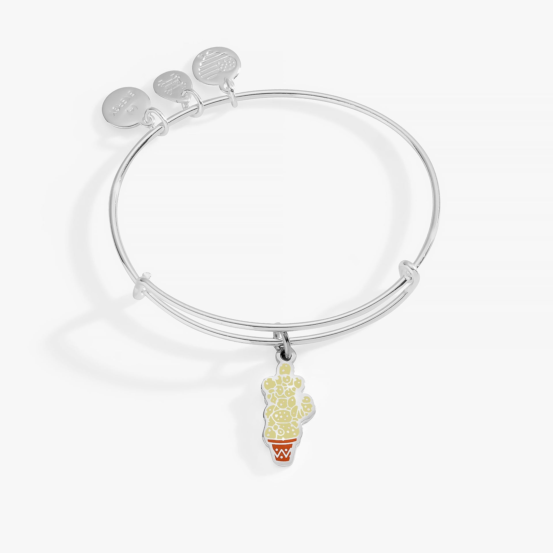 Alex and Ani Harry Potter charm bangle featuring a Mimbulus Mimbletonia cactus charm