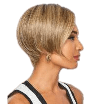 Heard It All Wig by Raquel Welch - Face-Framing Minimalist Style