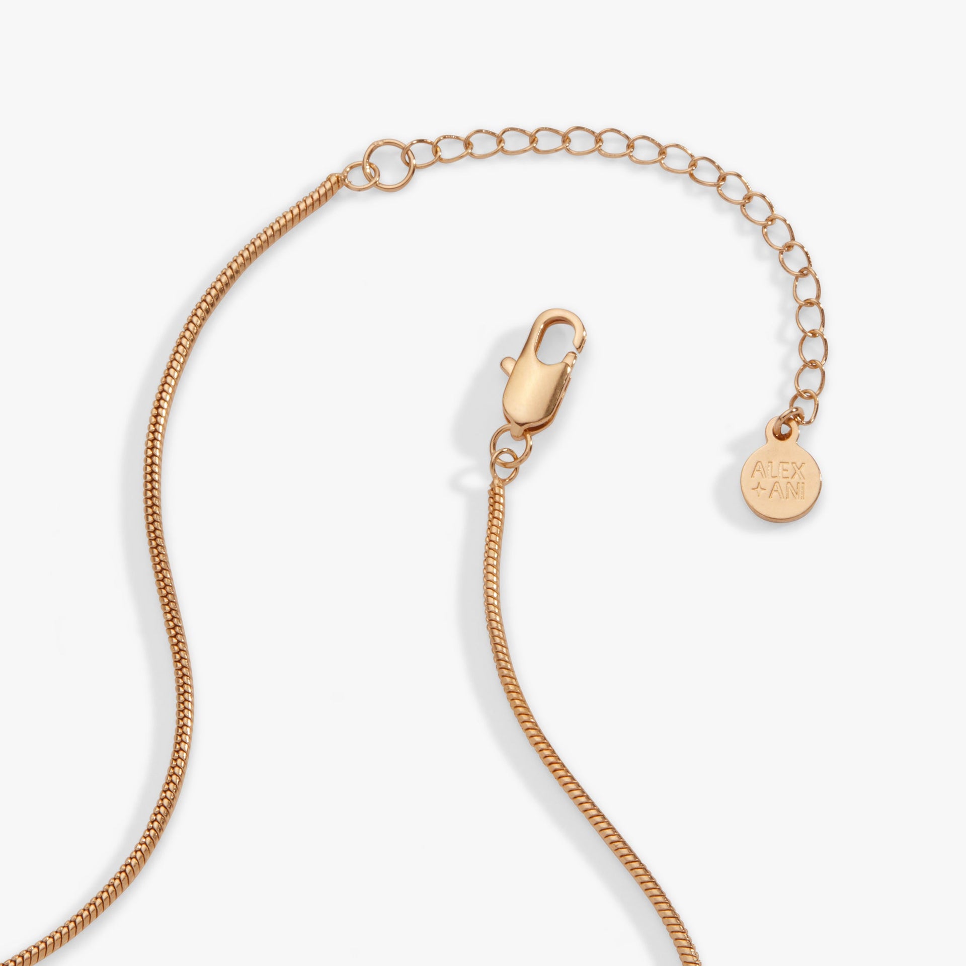 Heart Slider Snake Chain Necklace with Gold-Plated Details