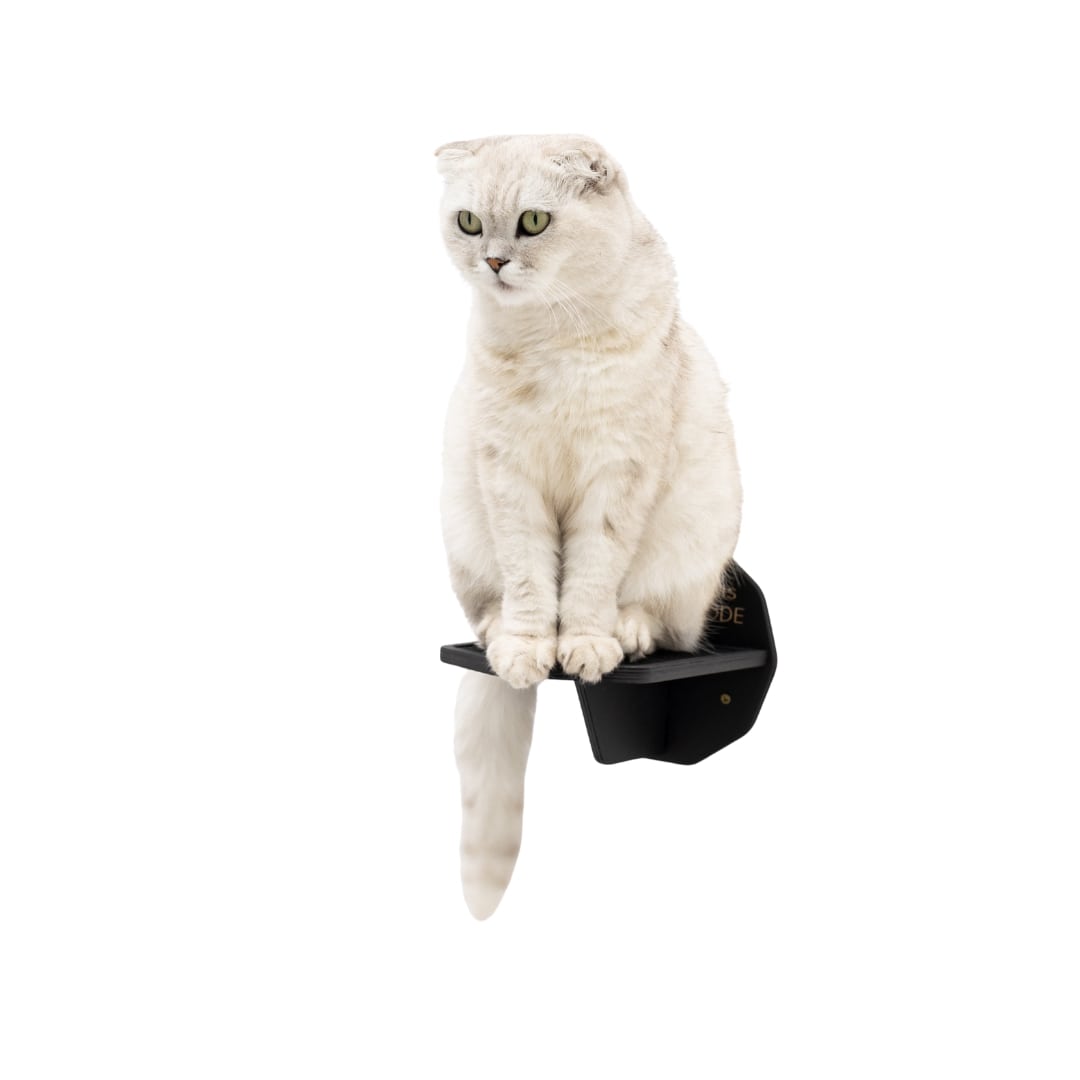 Modern black wooden hexagon cat step mounted on a wall for pet climbing