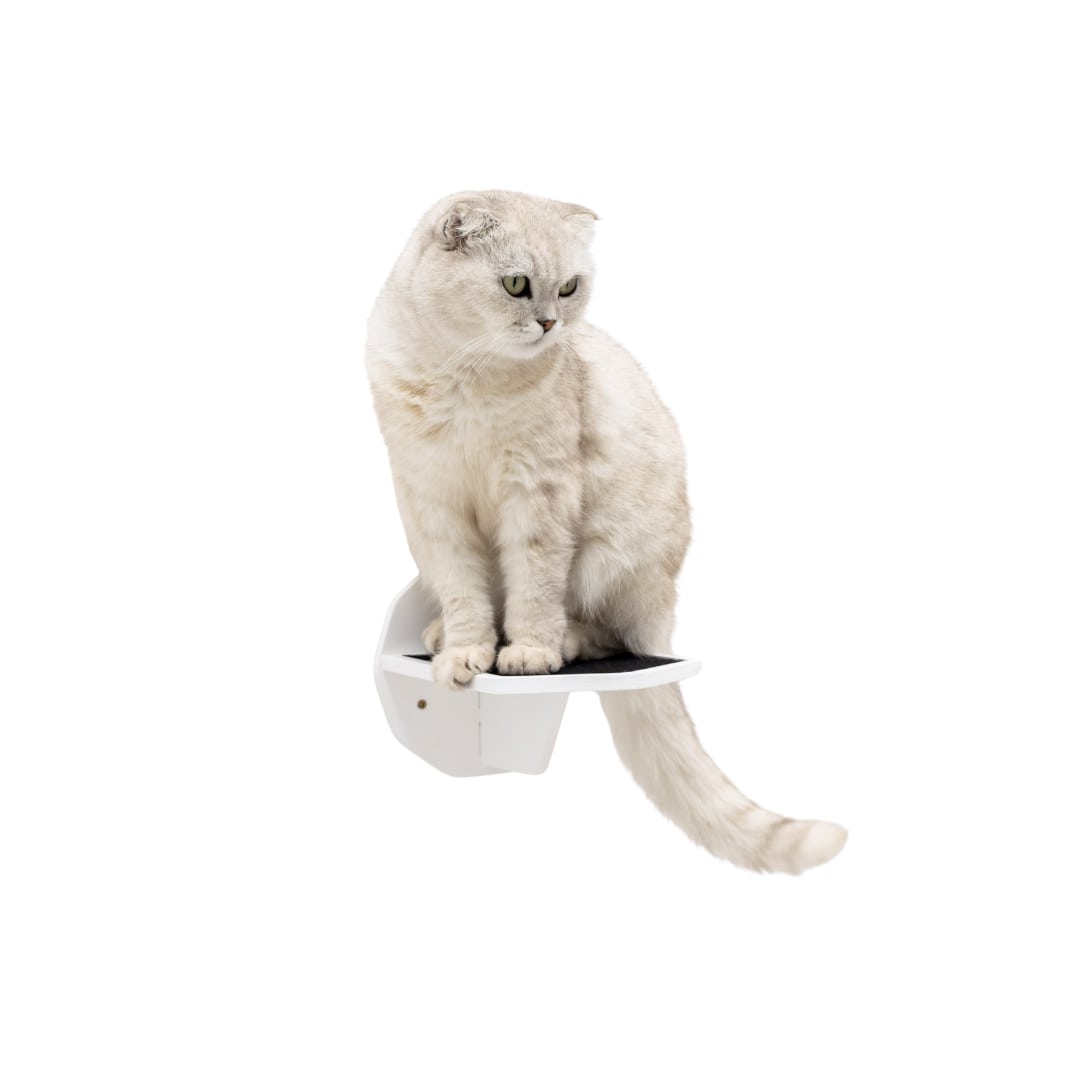 Modern white wooden hexagon step mounted on a wall for cat climbing and play
