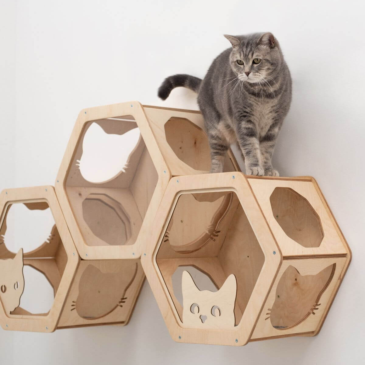Honeycomb Cat Wall Shelves in Light Wood and Black