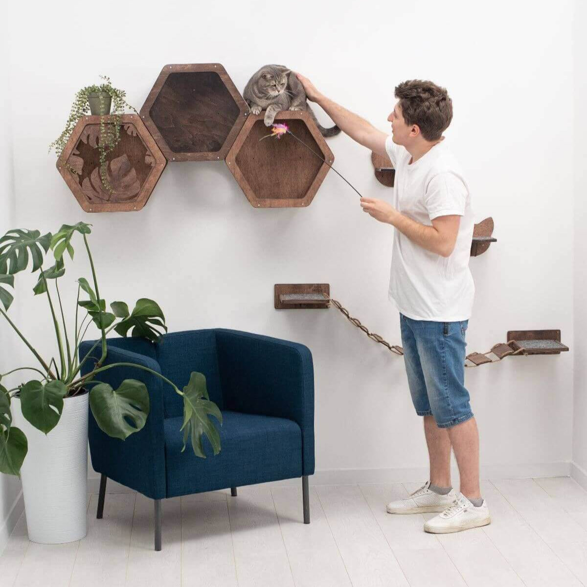 Minimalist Dark Walnut Hexagon Cat Wall Shelf