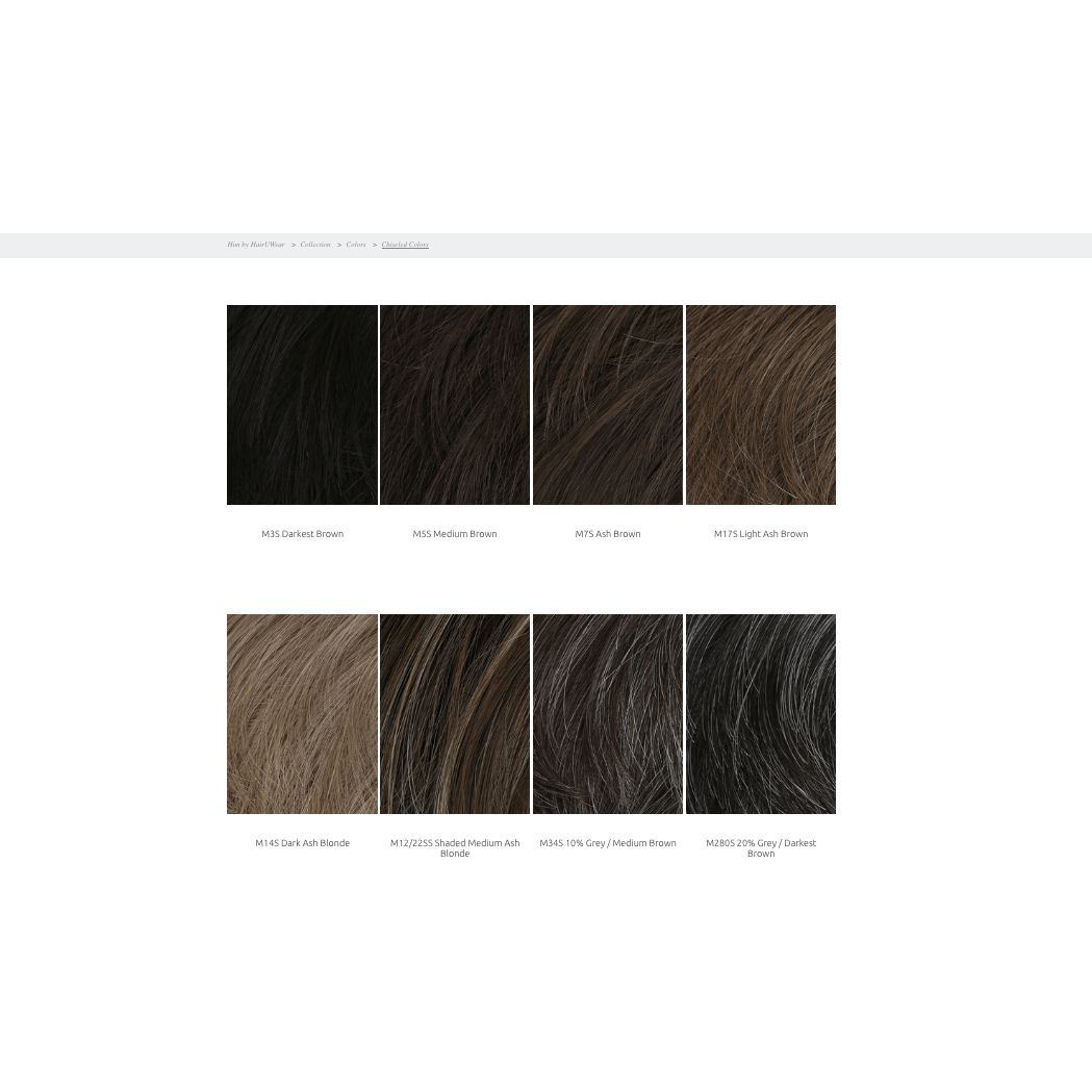 Chiseled Men's Wig in Light Brown or Blonde Highlights