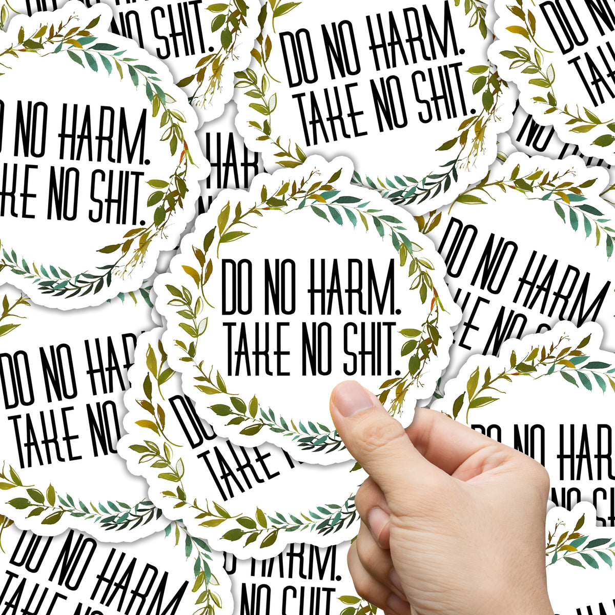 Do No Harm Take No Shit Sticker