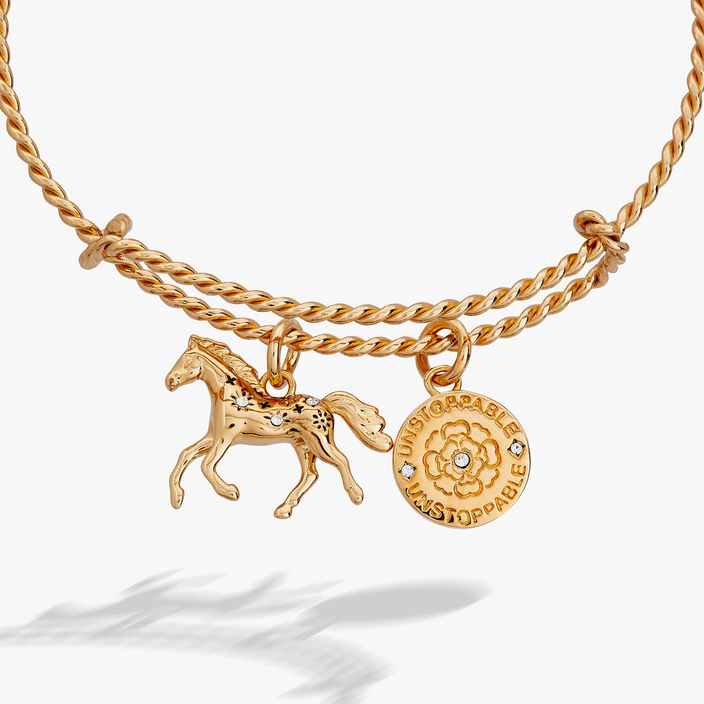Horse Rope Textured Charm Bangle with Crystal Accents