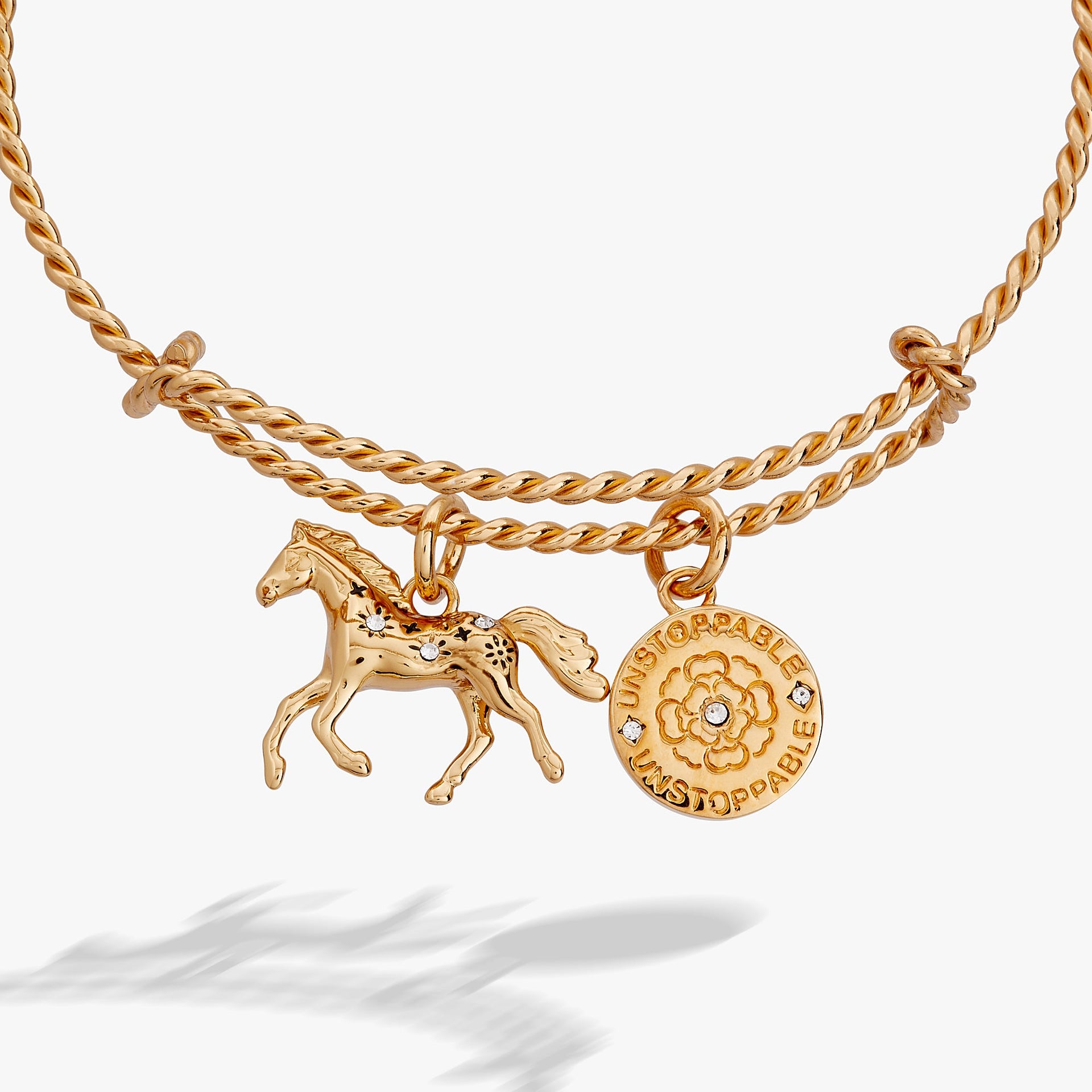 Horse Rope Textured Charm Bangle with Crystal Accents
