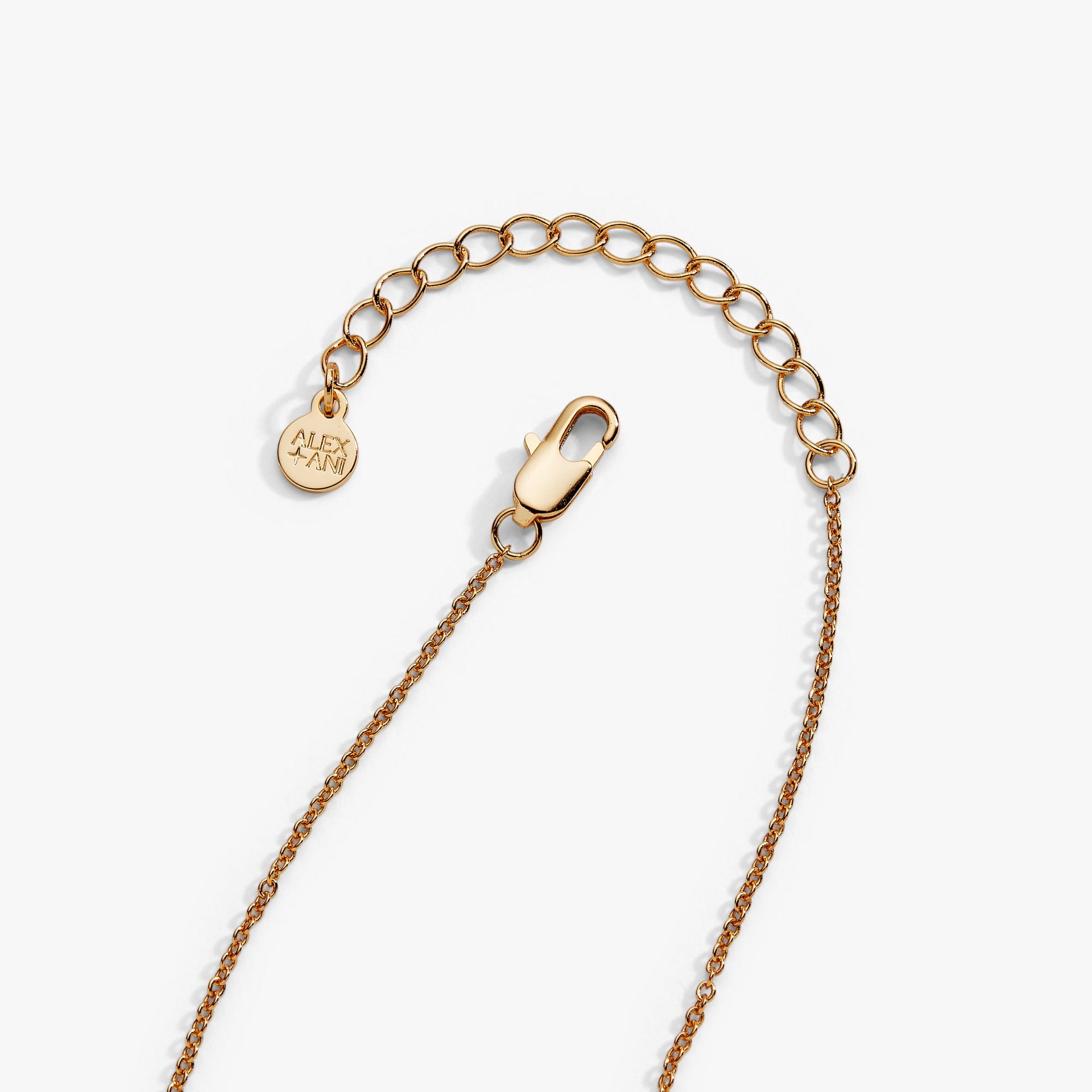Hamburger Pendant Necklace with 'Bun In A Million' Hidden Message