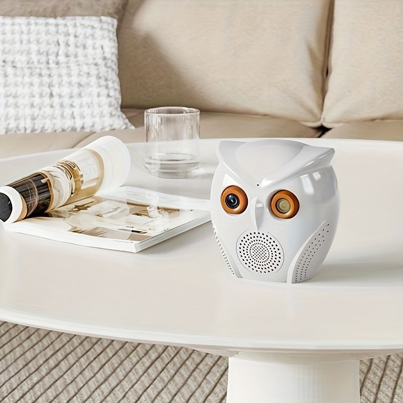 1080p HD WiFi Security Camera with Two Way Alerts