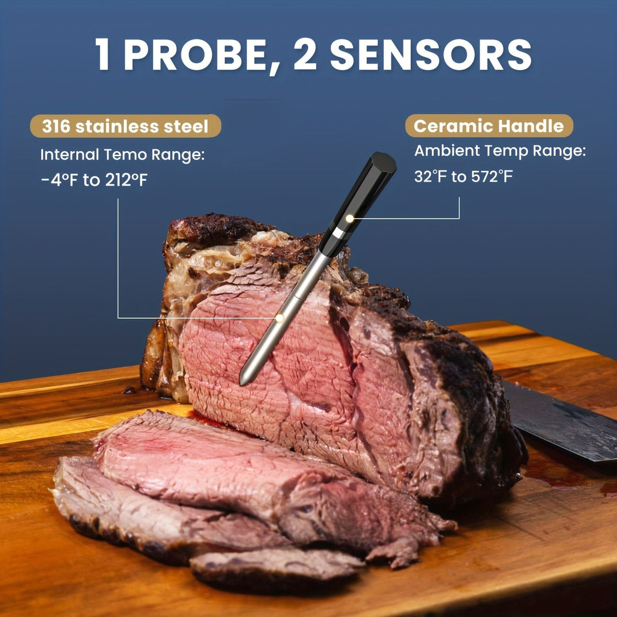 Wireless Meat Thermometer with Dual Sensor CP10