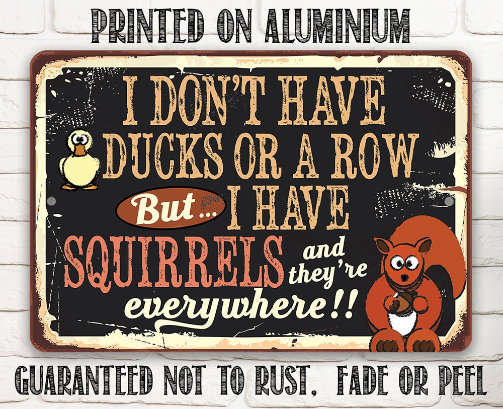 I Don't Have Ducks or a Row But I Have Squirrels - Metal Sign