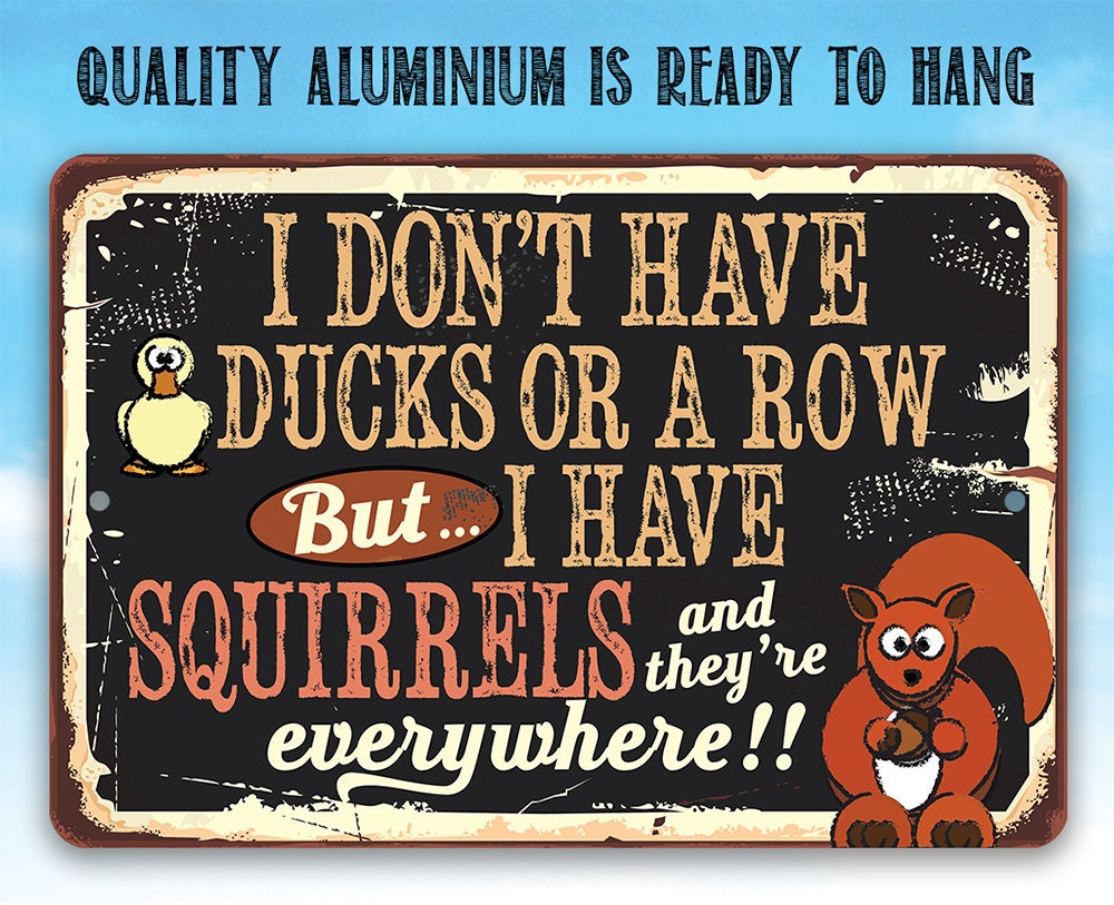 I Don't Have Ducks or a Row But I Have Squirrels - Metal Sign