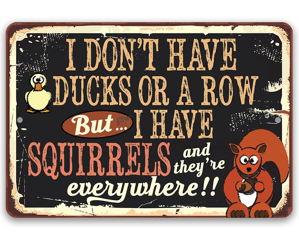 I Don't Have Ducks or a Row But I Have Squirrels - Metal Sign