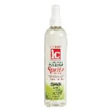 Fantasia IC Hair Polisher Spritz Super Hold bottle for firm styling control