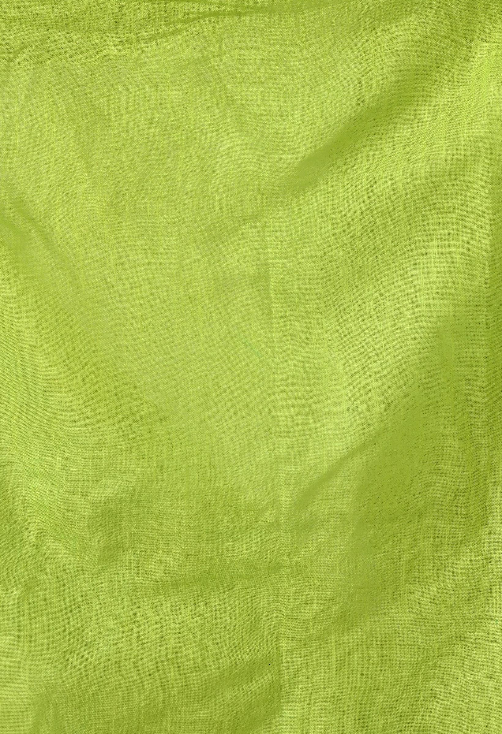 Parrot Green Bhagalpuri Handloom Silk Linen Saree with Silver Detail