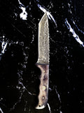 Titan Cavalry tactical knife with Tanto point blade and dyed bone handle.