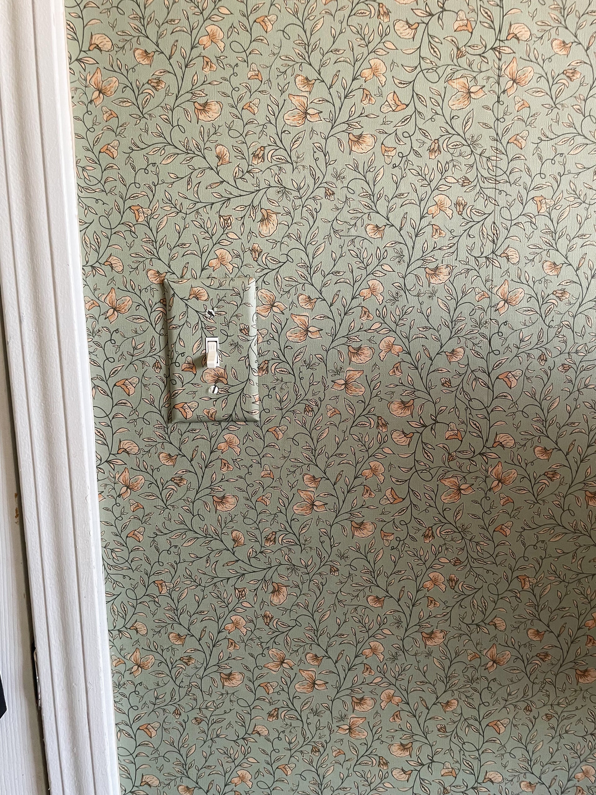 Edelweiss Botanical Removable Wallpaper in Sage-Green & Pale-Pink