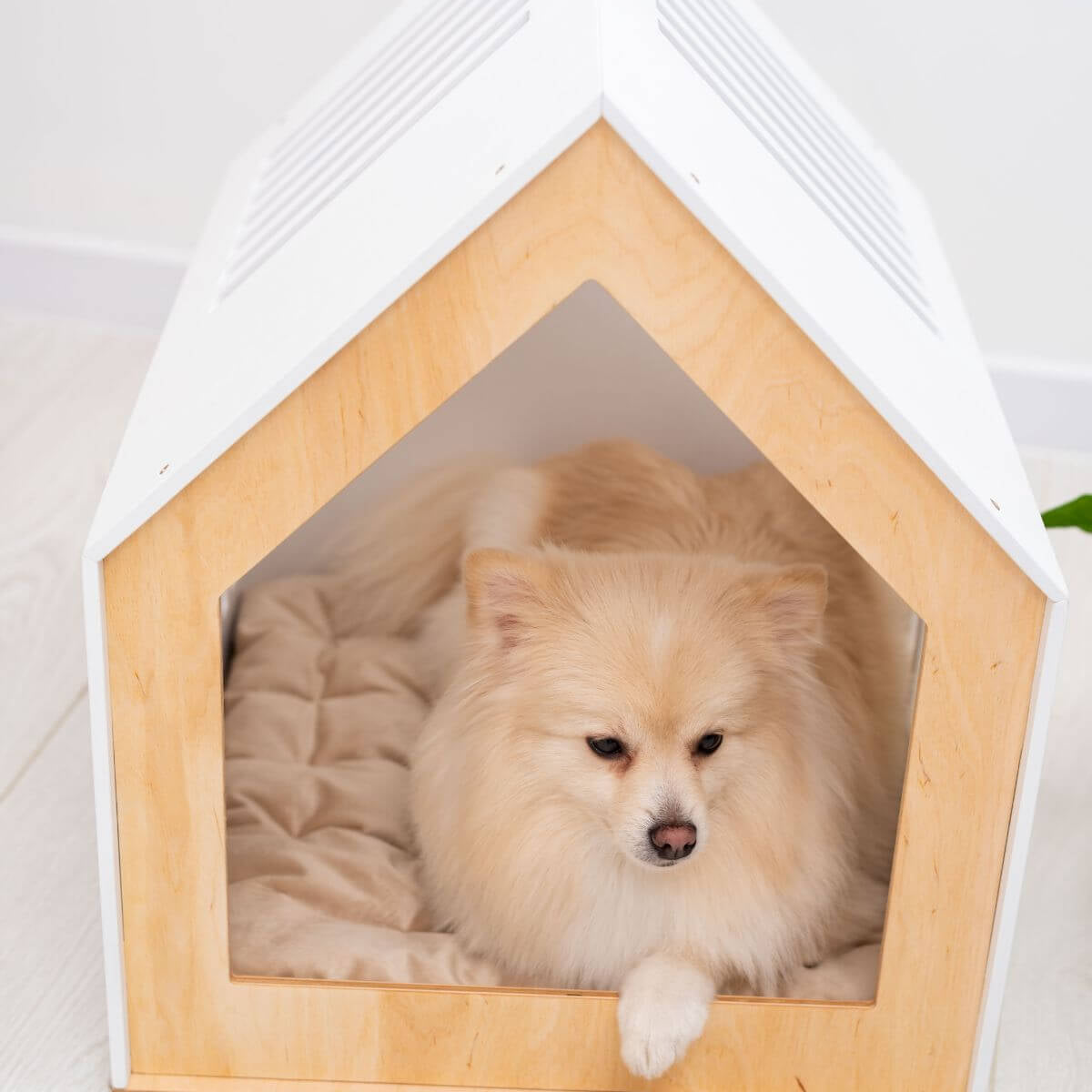Modern Indoor Wooden Dog House for Small and Medium Pets