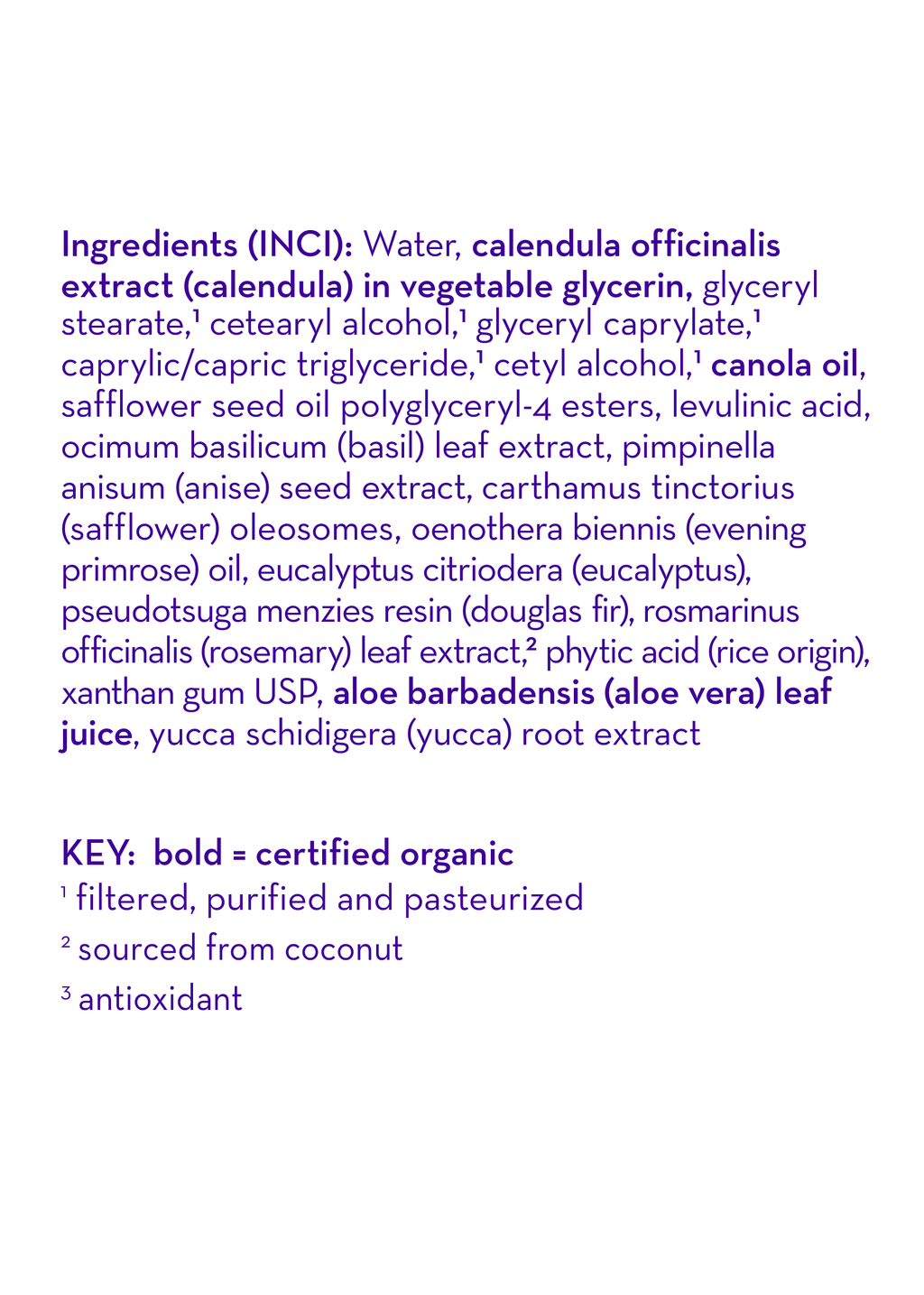 Eucalyptus Ease™ Everyday Lotion