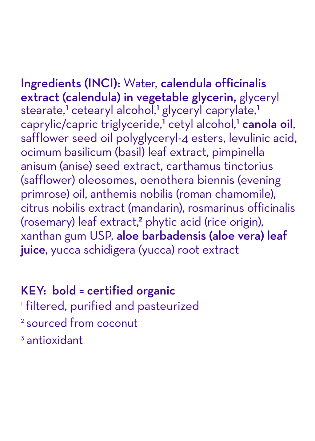 Overtired & Cranky™ Everyday Lotion