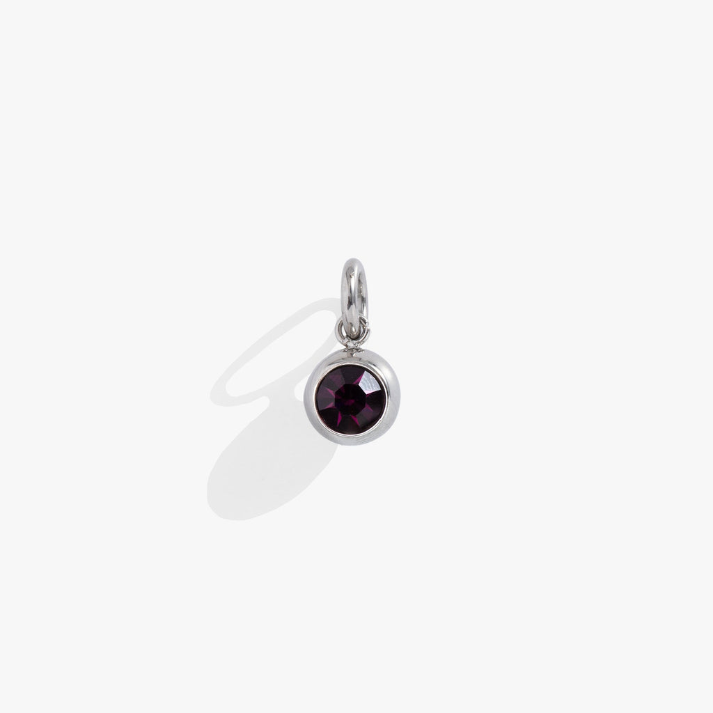 February Birthstone Interchangeable Charm with Amethyst Crystal