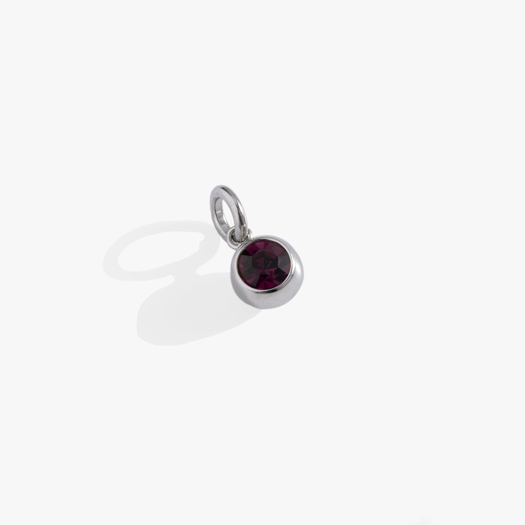 February Birthstone Interchangeable Charm with Amethyst Crystal