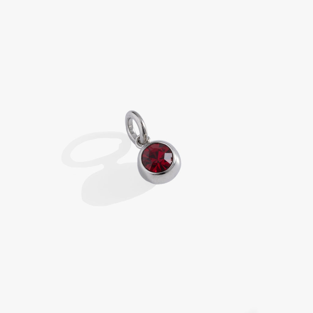 January Birthstone Interchangeable Charm for Jewelry