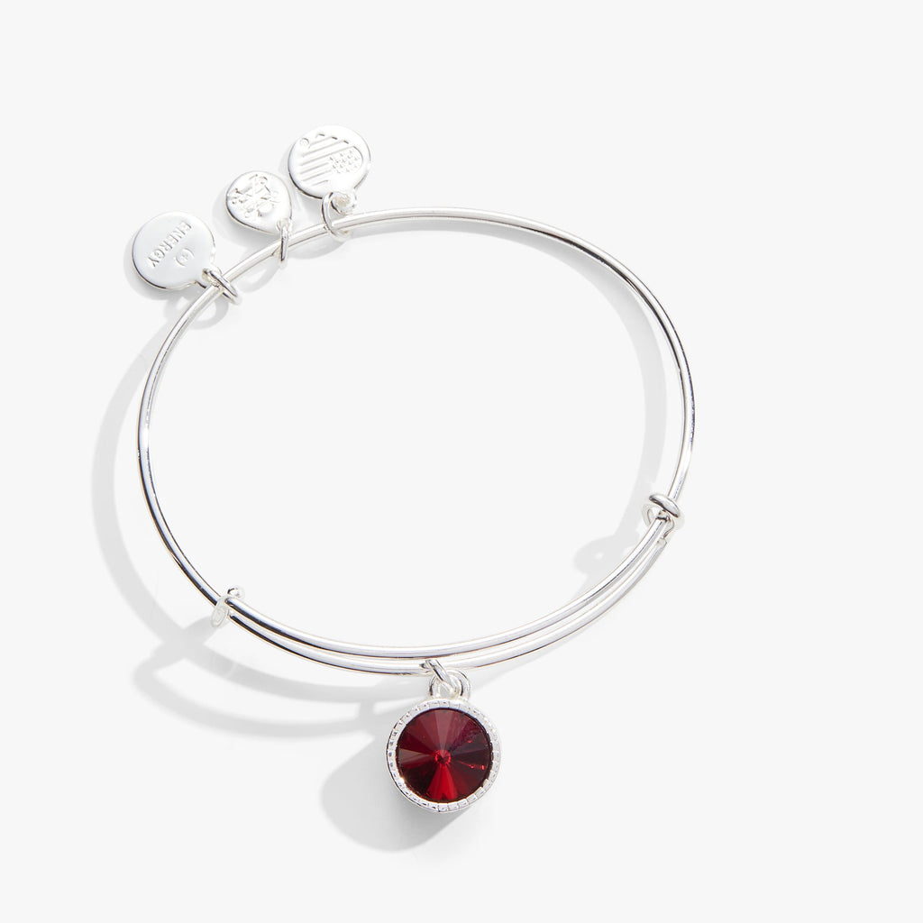 Silver-tone January birthstone charm bangle with a bold scarlet red crystal