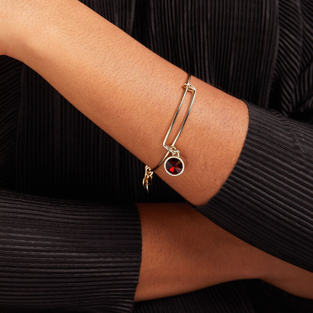 January Birthstone Charm Bangle in Silver with Scarlet Crystal