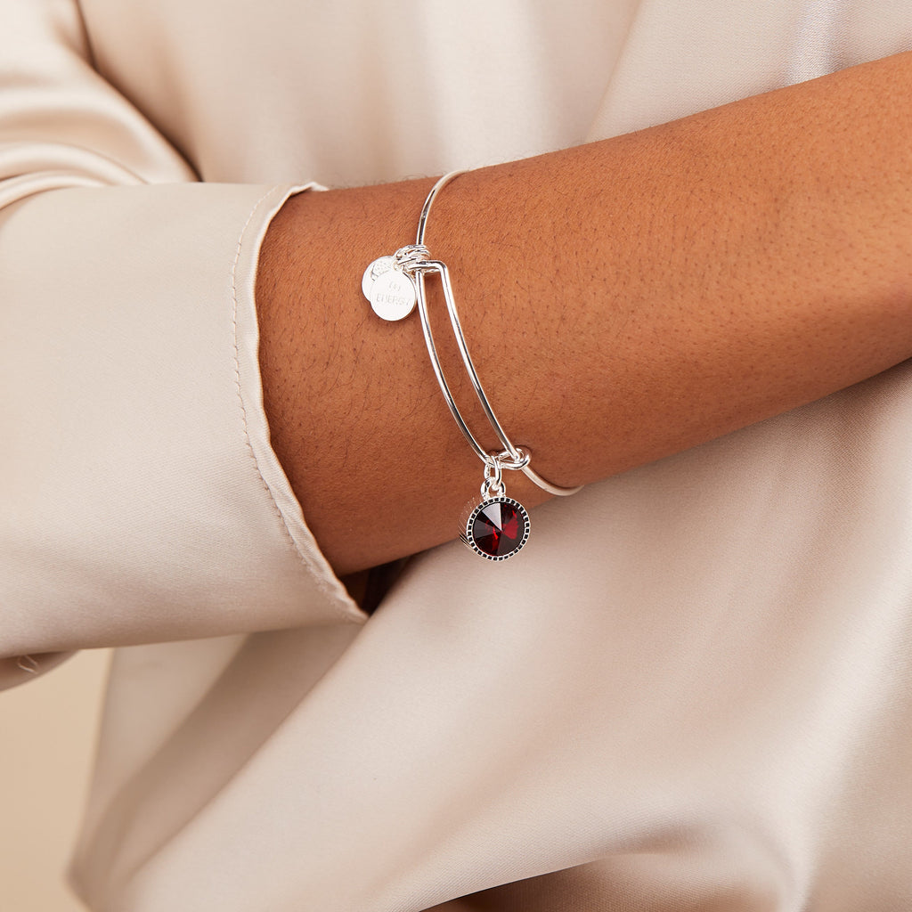 January Birthstone Charm Bangle in Silver with Scarlet Crystal