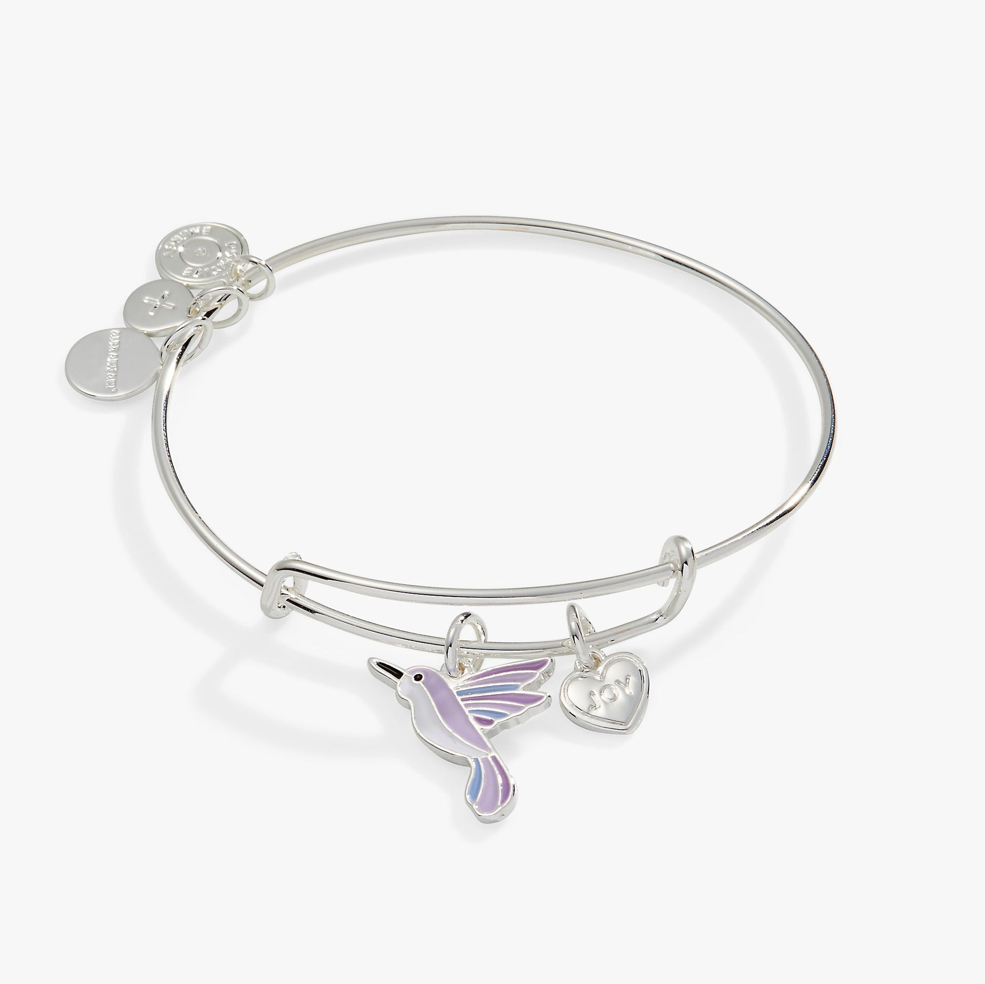 Alex And Ani charm bangle featuring two hummingbird charms.