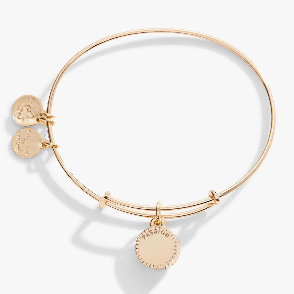 July Birthstone Ruby Crystal Expandable Charm Bangle Bracelet