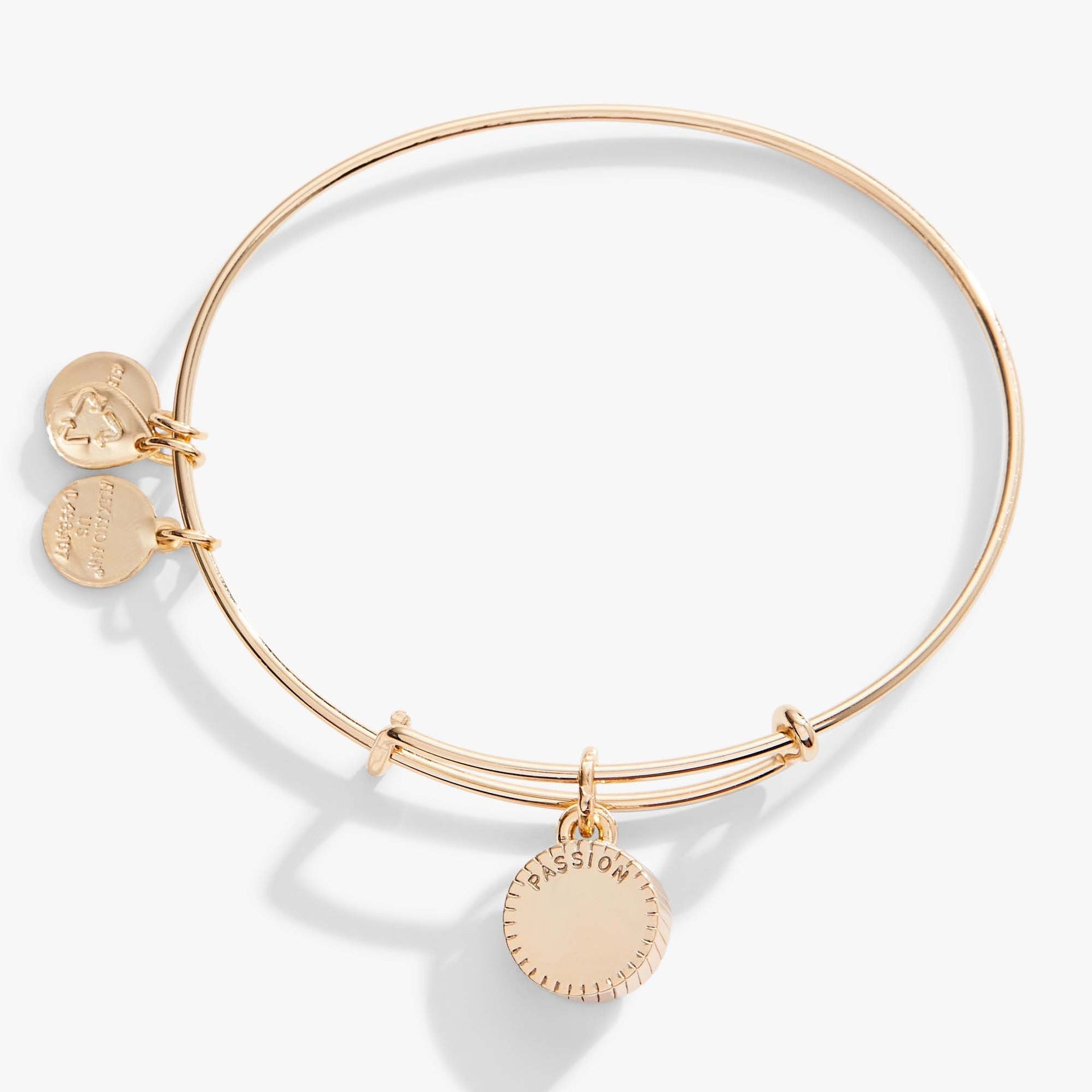 July Birthstone Ruby Crystal Expandable Charm Bangle Bracelet