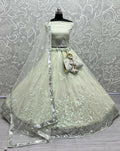 Sea Green Bridal Net Lehenga Choli with fancy sequins and multi-thread embroidery