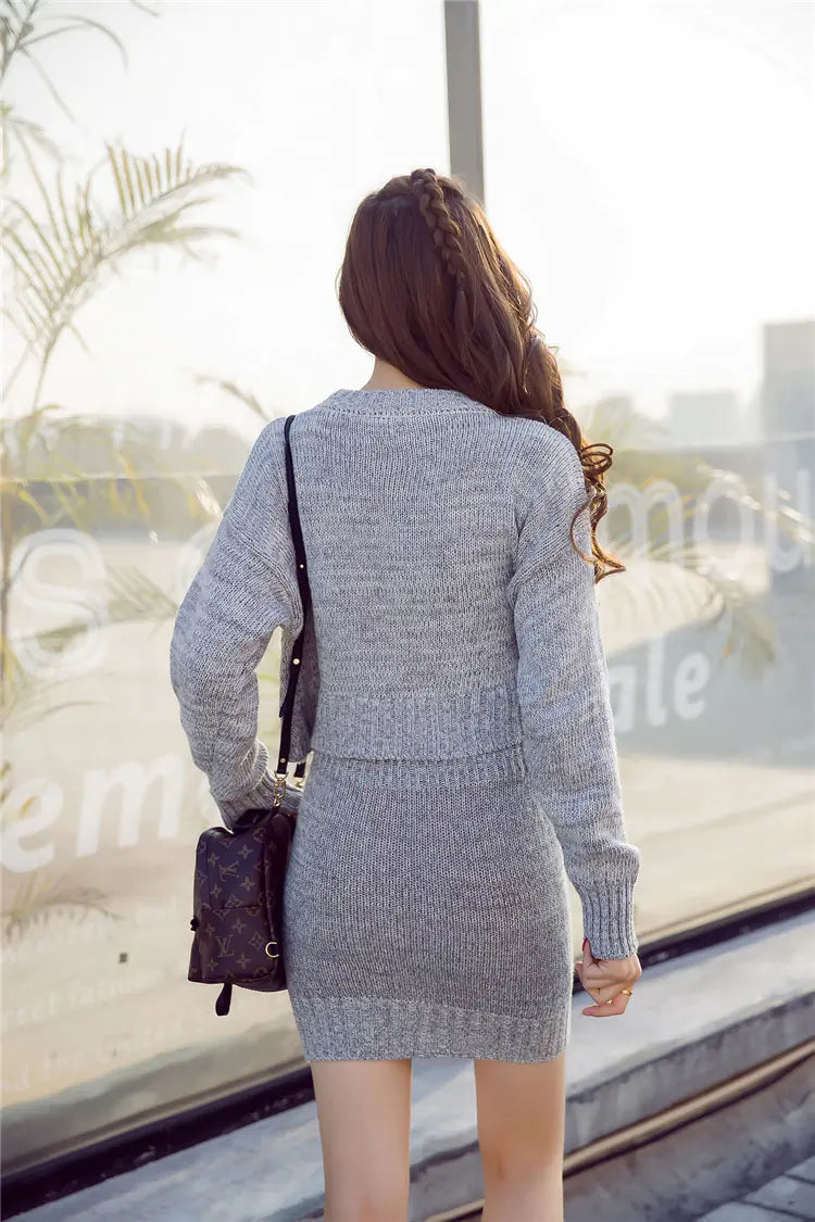 2-Piece Set: Fitted Dress and Sweater Skirt