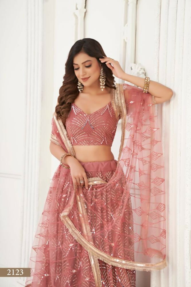 Dusty Onion Pink Butterfly Net Lehenga with Mirror Work Details
