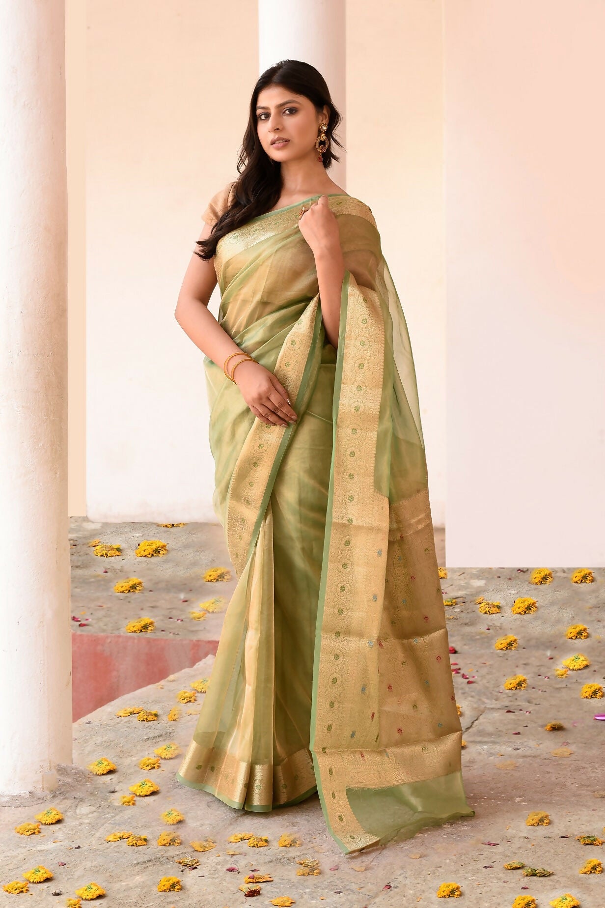 Green Pure Banarasi Tissue Saree