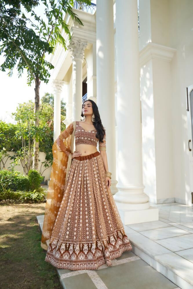 Brown Butterfly Net Lehenga Choli with White Thread Embroidery
