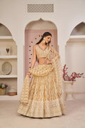 Beige Chiku Butterfly Net Lehenga with Zari and Sandwich Sequence embroidery