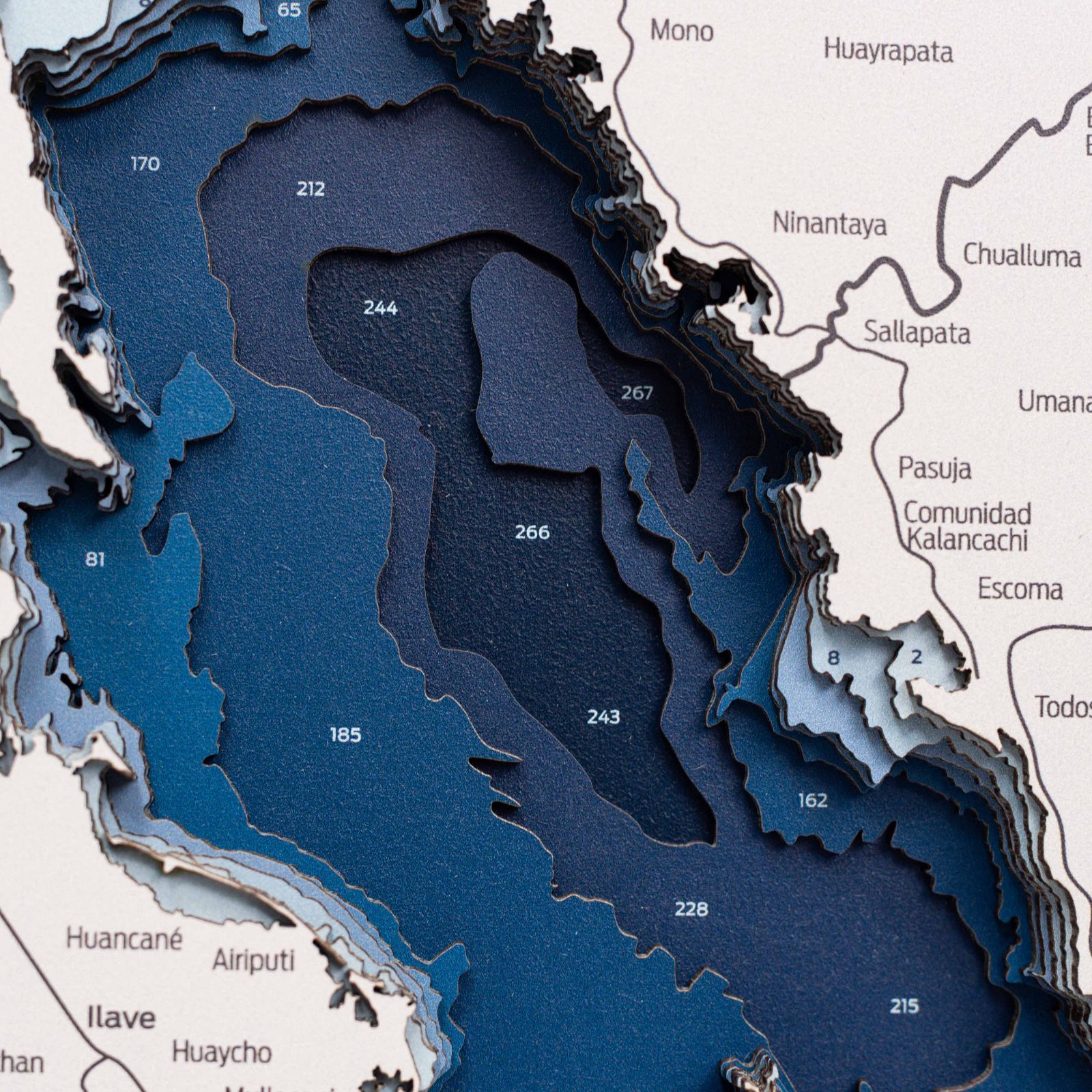 Lake Titicaca Wood Wall Art Modern Nautical Map Decor