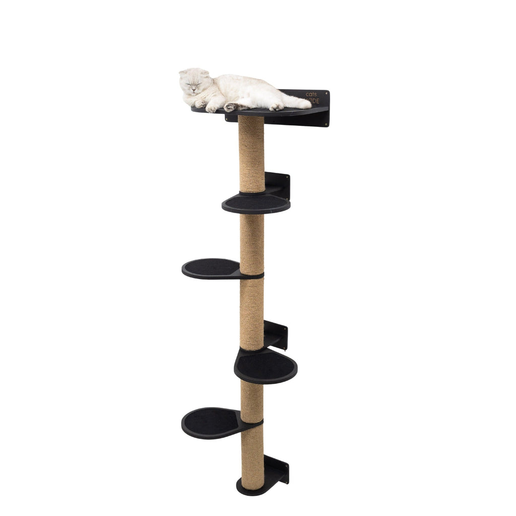 Sleek large black multi-level cat tree with sisal-wrapped scratching posts and soft felt platforms.
