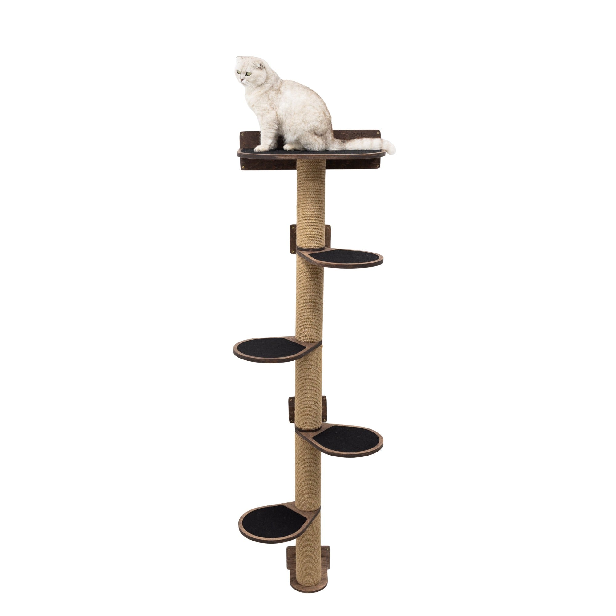 Modern large wall-mounted cat tree in dark walnut with beige felt steps